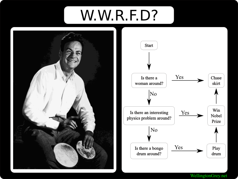 2006-12-25-what-would-richard-feynman-do.png